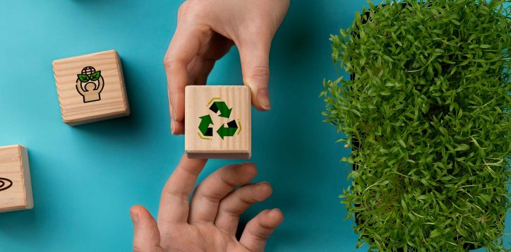 sustainable-development-go-2